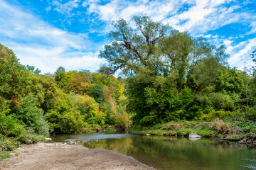 Nature in Don River in Toronto