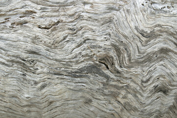 Old wooden Texture With Natural Pattern