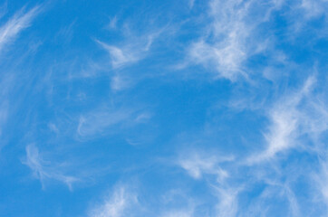 Fototapeta na wymiar White clouds in blue sky