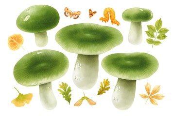 Mushroom with autumn elements illustration watercolor style collection - obrazy, fototapety, plakaty