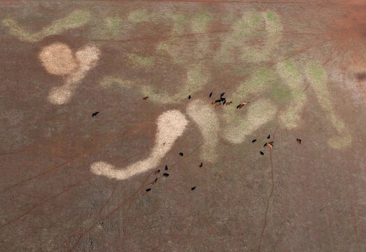Rural Outback Aerial Landscape