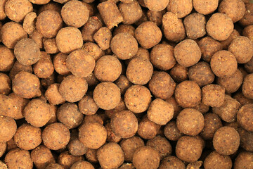 Protein protein ball for big carp 