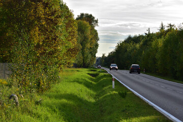 Asphalt road among meadows and trees on a sunny autumn day. Autumn. Sun. © W Korczewski