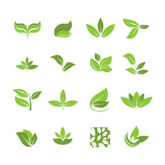 A collection of icons with leaves, an emblem of ecology, organic, natural products, a healthy lifestyle.
