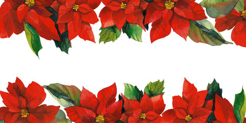 Poinsettia (Christmas star) hand drawn in watercolor isolated on white background