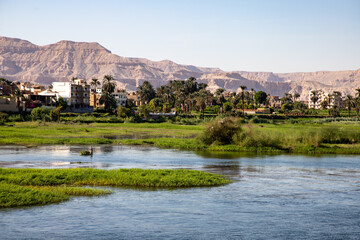 Fototapeta na wymiar View of the Nile