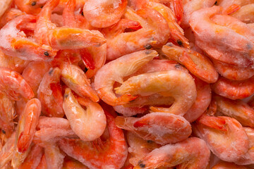 Fresh shrimps in ice. Top view.