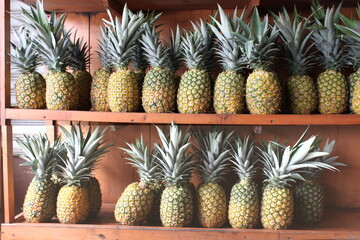 pineapple in the market
