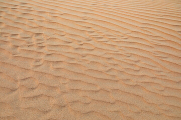 Wavy lines of the sand in the desert. Dubai, United Arab Emirates