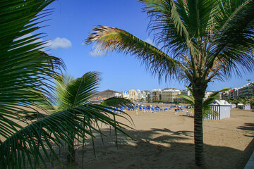 Fototapeta na wymiar View of a district Las Palmas - Gran Canari island,canari island, ,Gran canary,Spain,europe