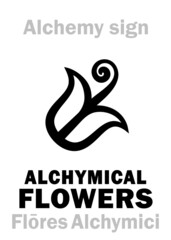 Alchemy Alphabet: Alchymical FLOWERS (Flōres Alchymici) — sublimate crystalline form of substance (eg. radial crystals of salts, metals, etc.), or crystalline powder, any solid product of sublimation.