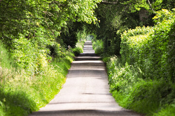 Obraz premium The Road to Nowhere