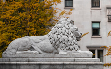 Lion statue sculpture in downtown of Vancouver BC Art Gallery.