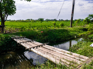 simple bamboo bridge with rice fields and white clouds in the background
