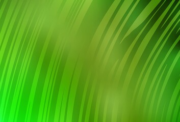 Light Green, Yellow vector blurred shine abstract texture.