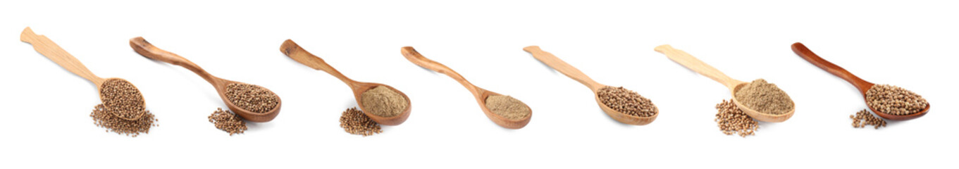 Set with coriander seeds and powder on white background. Banner design