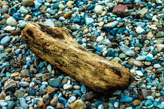 Madera en piedras de mar