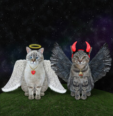 An ash cat angel and a gray cat devil are sitting in a meadow at night. 