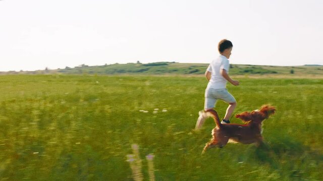 Excited and attractive small boy together with his best friend dog run through the green field in a perfect sunny day little boy are very happy