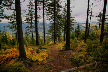 Obraz premium Beautiful autumn landscape in mountain and forest