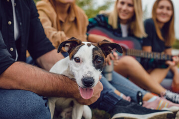 A group of friends sit by the fire during the hike and play with the dog.