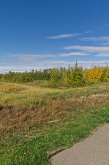 Autumn Trees near a Hiking Trail
