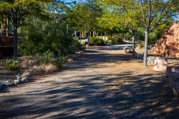 The Beauty of Nature