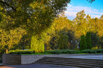Naklejka premium autumn in the park
