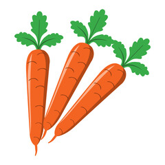carrots on a white