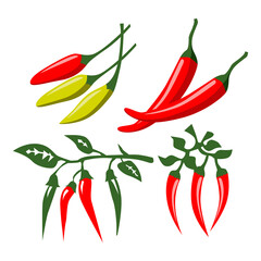 red chili illustration, a simple vector design - obrazy, fototapety, plakaty
