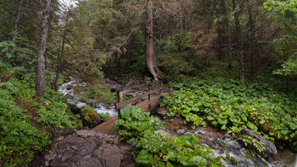 moss covered rocks © Sieku Photo