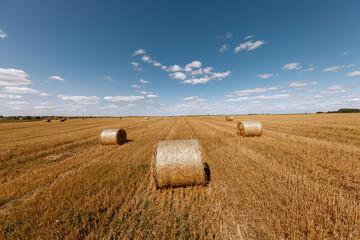 Wheat field after harvest with straw bales at sunset