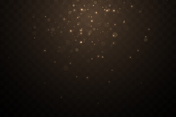 Light effect. Background of sparkling particles. Glittering elements on a transparent background.