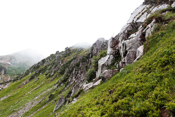 Mountain hill path road panoramic landscape