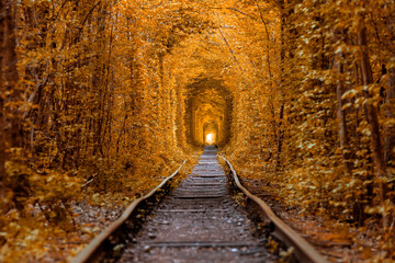 love tunnel in autumn. a railway in the autumn forest. Tunnel of Love, autumn trees and the railroad
