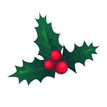 Christmas leaves and holly berries. Christmas symbol. Gradient. Vector illustration isolated on white background