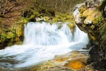 Fototapeta premium Mountain creek cascading down the red riverbed and moss covered rocks in the dense forest