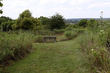 The empty wood bench on the grass trail on a sunny day.