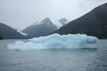 Fototapeta na wymiar portage glacier iceberg