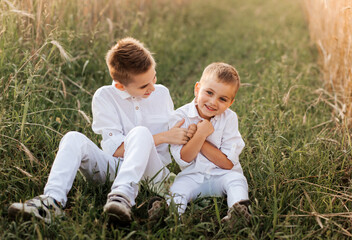 Naklejka na ściany i meble Two little boy brothers play and walk in nature in the summer. Happy childhood. Positive emotions