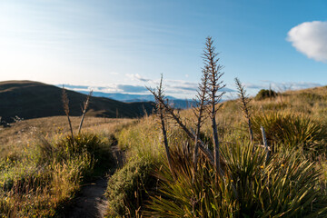Naklejka premium Morning view from Grandview Mountain Track, Wanaka, New Zealand