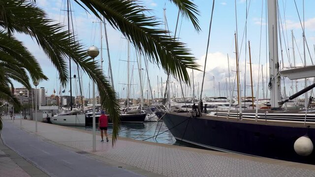 Tourists walking along the Paseo maritimo at late evening in Palma de Mallorca, Spain. Palm tree in the foreground and Marina with Luxury yachts in the background.