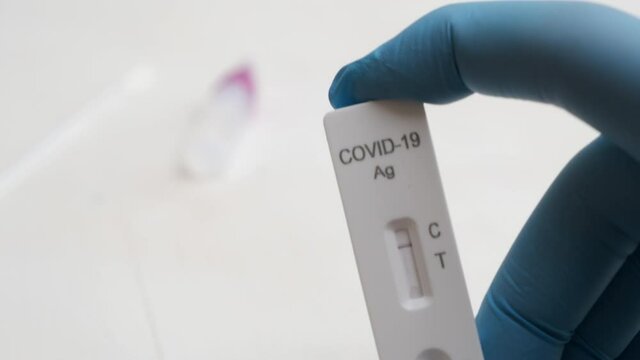 Negative rapid Antigen test for prevention of Covid-19 disease in laboratory worker hand in rubber gloves.