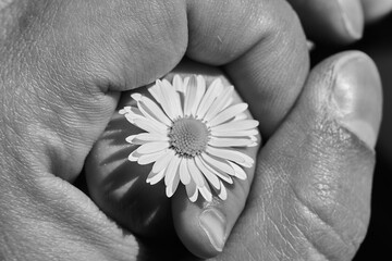 Die Welt in den H&auml;nden