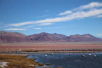 incredible volcanic and desert landscape of the Argentine Puna