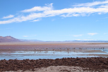 incredible volcanic and desert landscape of the Argentine Puna