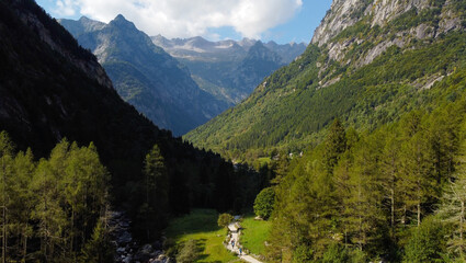 Fototapeta na wymiar Valley on a sunny day between the alps mountains