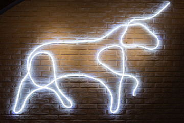 Led bull in a bar