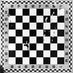 Chess © Wodzownik