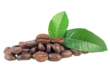 Roasted coffee beans and fresh green leaves isolated on a white background